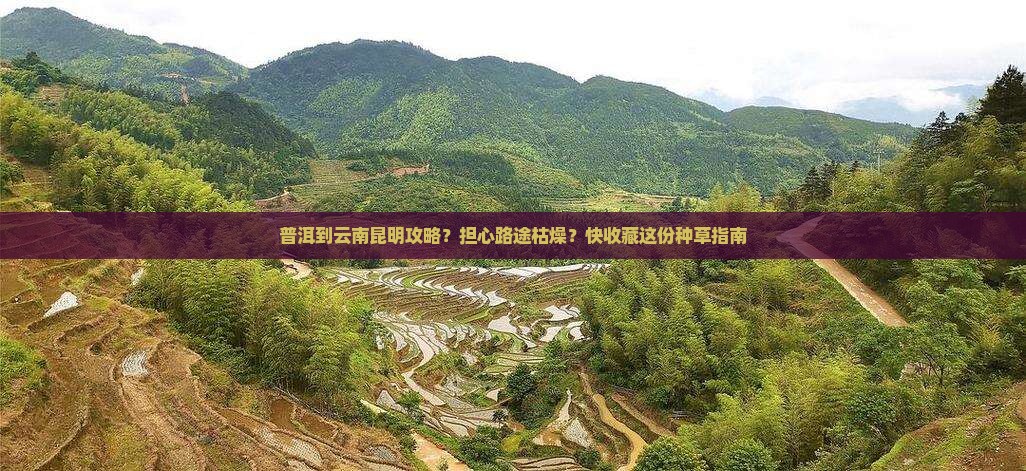 普洱到云南昆明攻略？担心路途枯燥？快收藏这份种草指南