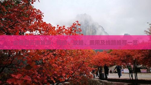 合肥到云南旅游：报价、攻略、费用及线路推荐一览