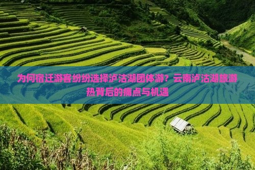 为何宿迁游客纷纷选择泸沽湖团体游？云南泸沽湖旅游热背后的痛点与机遇