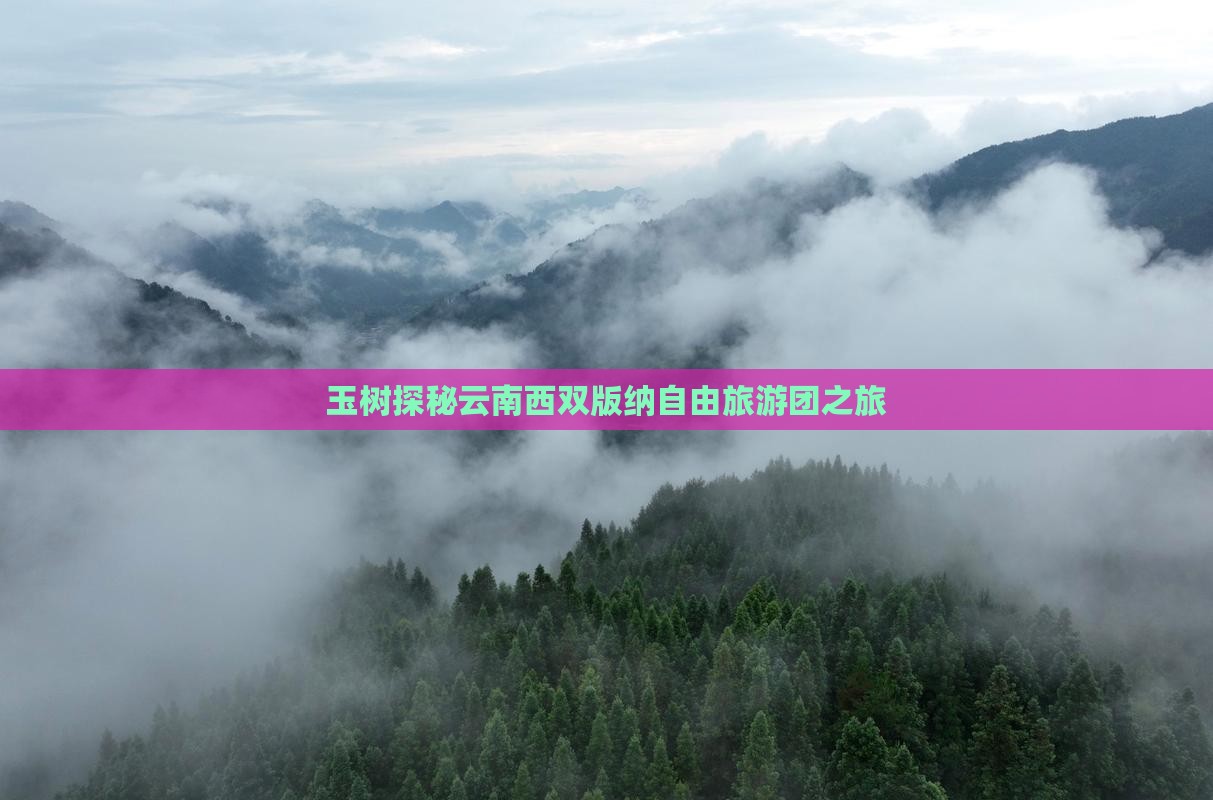 玉树探秘云南西双版纳自由旅游团之旅