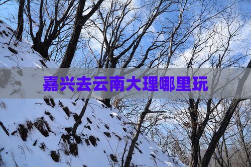 嘉兴去云南大理哪里玩