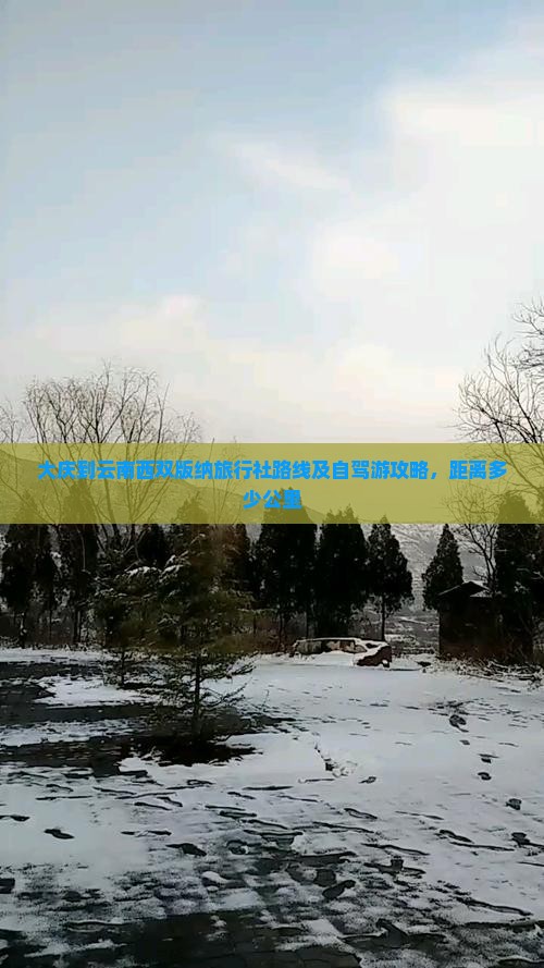 大庆到云南西双版纳旅行社路线及自驾游攻略，距离多少公里