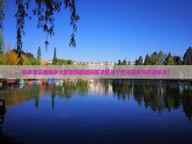 新余至云南温泉大型旅游团如何解决团员个性化需求与舒适体验？