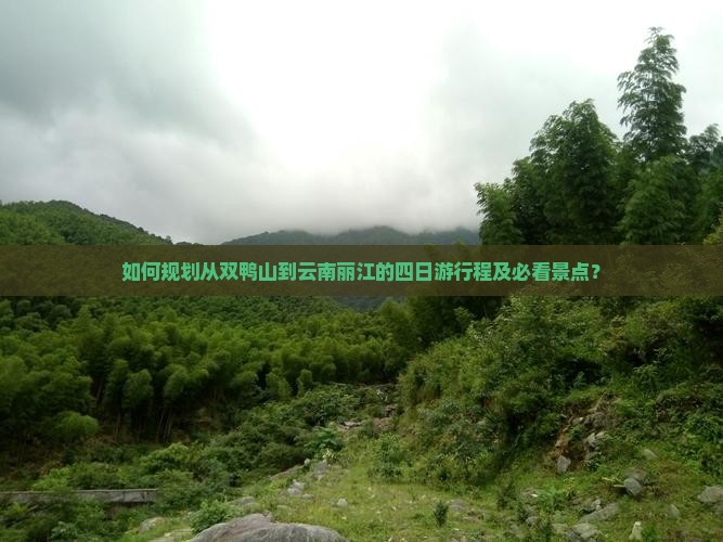如何规划从双鸭山到云南丽江的四日游行程及必看景点？