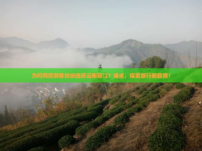 为何阿坝游客纷纷选择云南丽江？痛点，探索旅行新趋势！