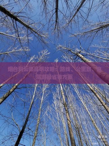 烟台到云南昆明攻略：路线、公里数、自驾游最省钱方案