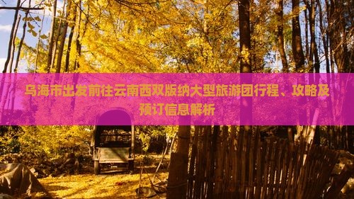 乌海市出发前往云南西双版纳大型旅游团行程、攻略及预订信息解析