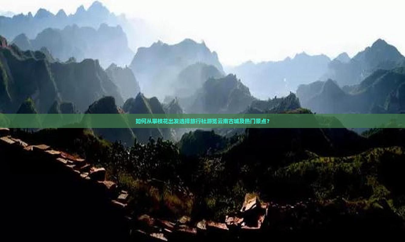 如何从攀枝花出发选择旅行社游览云南古城及热门景点？