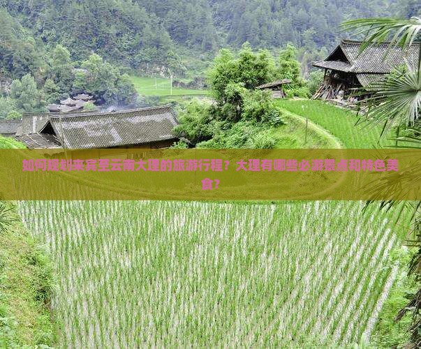 如何规划来宾至云南大理的旅游行程？大理有哪些必游景点和特色美食？
