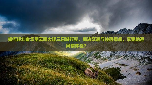 如何规划金华至云南大理三日游行程，解决交通与住宿痛点，享受地道风情体验？
