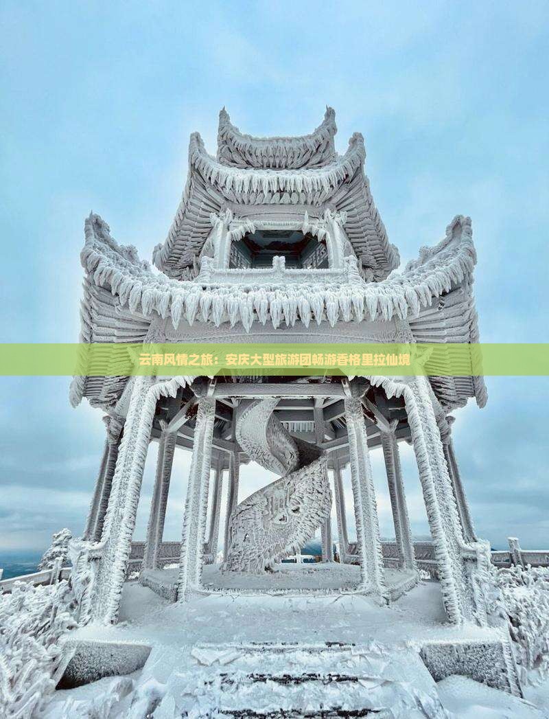 云南风情之旅：安庆大型旅游团畅游香格里拉仙境