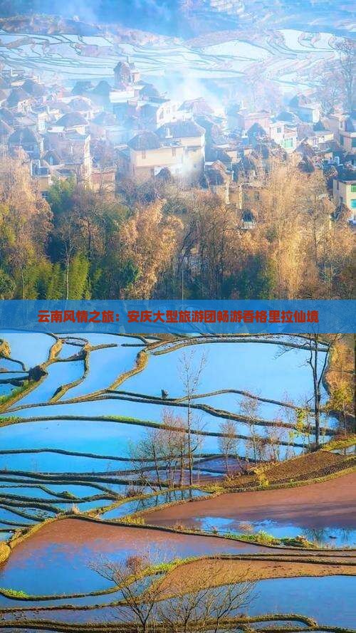 云南风情之旅：安庆大型旅游团畅游香格里拉仙境