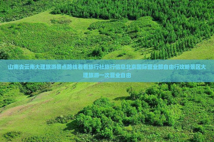 山南去云南大理旅游景点路线看看旅行社旅行信息北京国际营业部自由行攻略景区大理旅游一次营业自由