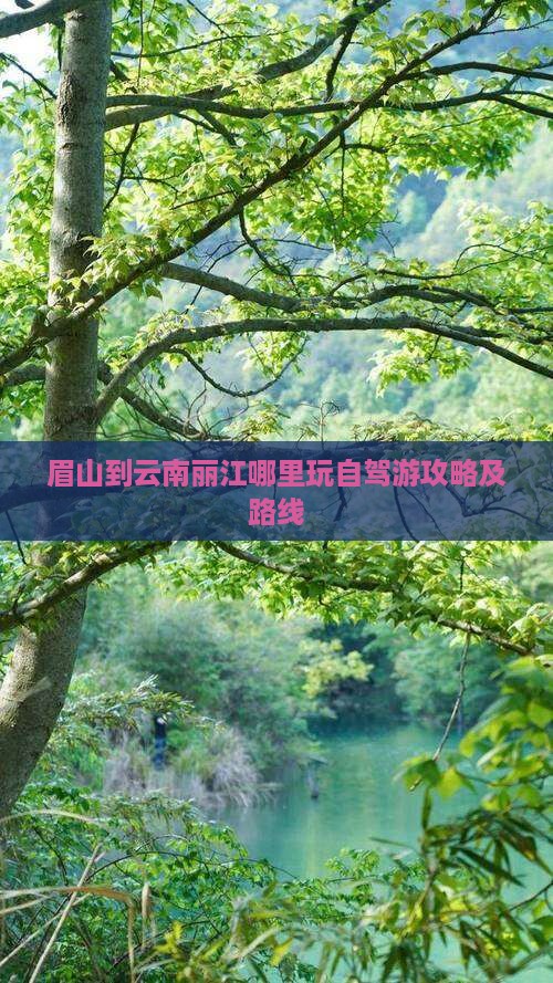 眉山到云南丽江哪里玩自驾游攻略及路线