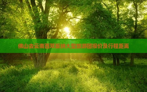 佛山去云南西双版纳大型旅游团报价及行程距离