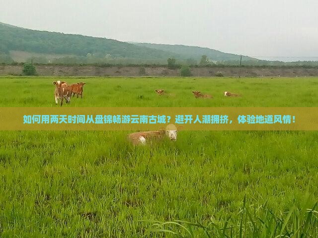 如何用两天时间从盘锦畅游云南古城？避开人潮拥挤，体验地道风情！