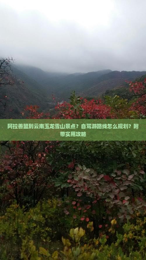 阿拉善盟到云南玉龙雪山景点？自驾游路线怎么规划？附带实用攻略