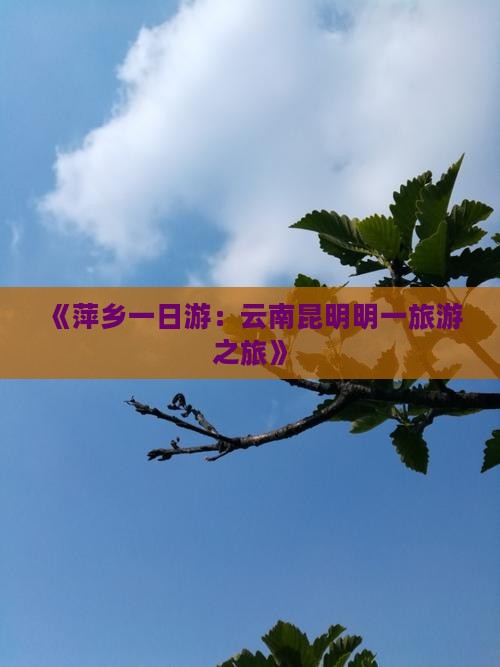 《萍乡一日游：云南昆明明一旅游之旅》