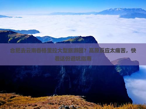 合肥去云南香格里拉大型旅游团？高原反应太痛苦，快看这份避坑指南