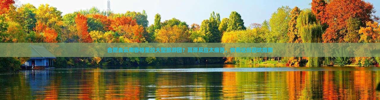合肥去云南香格里拉大型旅游团？高原反应太痛苦，快看这份避坑指南
