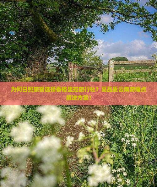 为何日照旅客选择香格里拉旅行社？高品质云南游痛点解决方案！