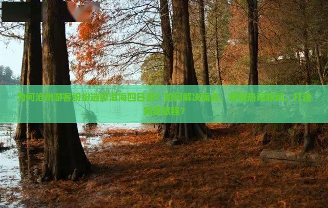 为何沧州游客纷纷选择洱海四日游？如何解决痛点，解锁热词新词，打造完美旅程？