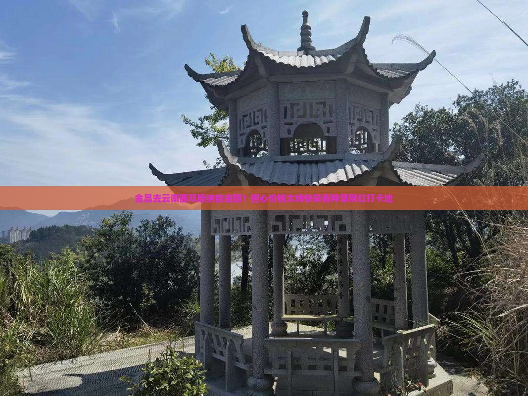 金昌去云南西双版纳自由团？担心价格太缚快来看种草网红打卡地