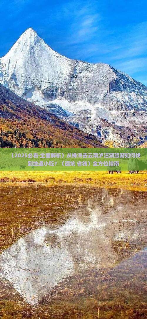 株洲到云南泸沽湖旅游小吃