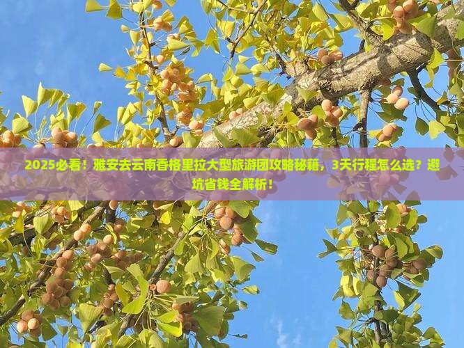 雅安去云南香格里拉大型旅游团
