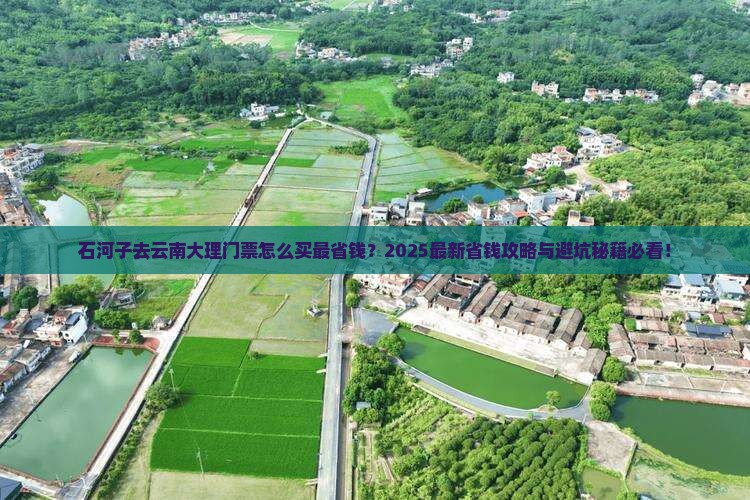 石河子去云南大理门票