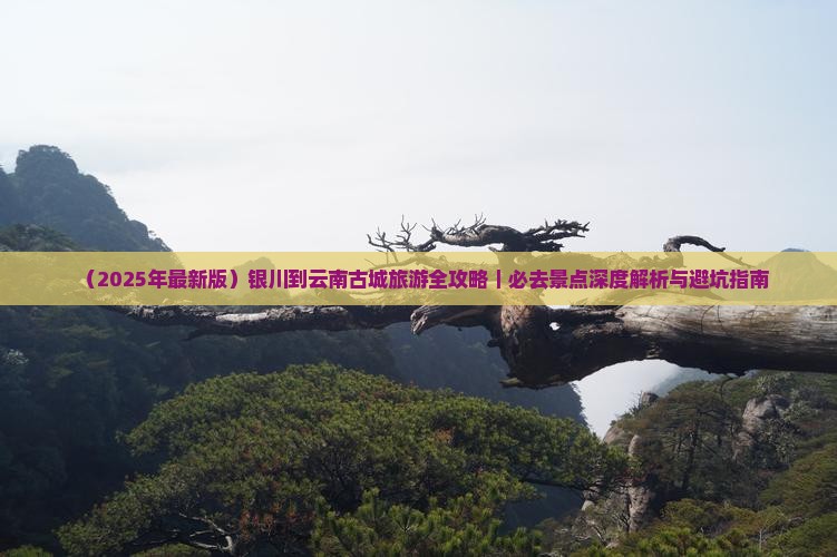 银川到云南古城必去地 银川到云南古城必去地
