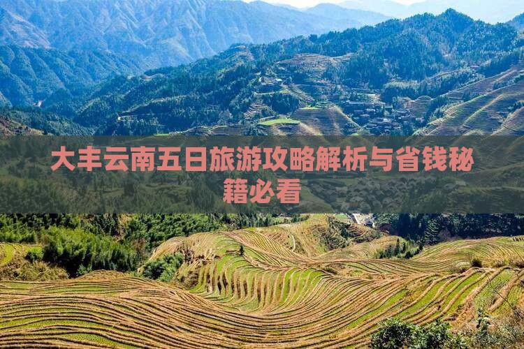 大丰去云南五日游