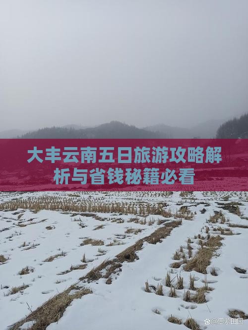 大丰去云南五日游