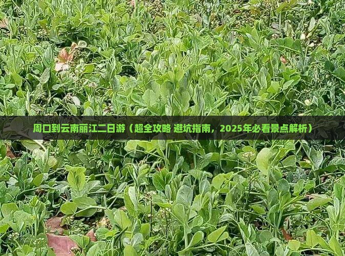 周口去云南丽江二日游