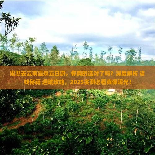 巢湖去云南温泉五日游