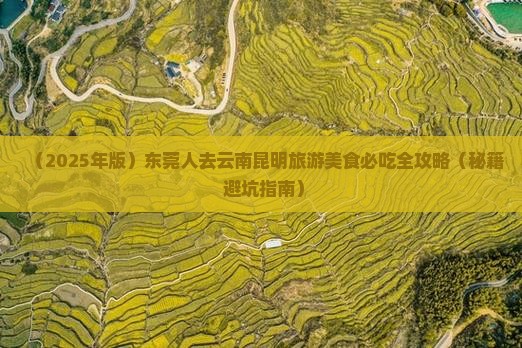 东莞去云南昆明旅游小吃