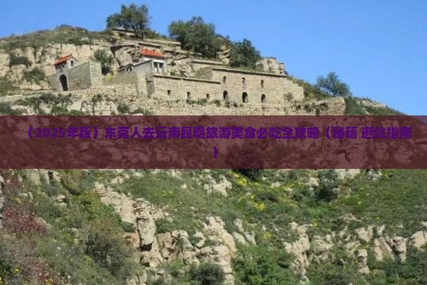 东莞去云南昆明旅游小吃
