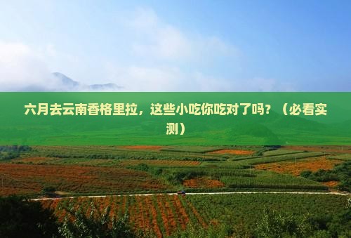 六月到云南香格里拉旅游小吃