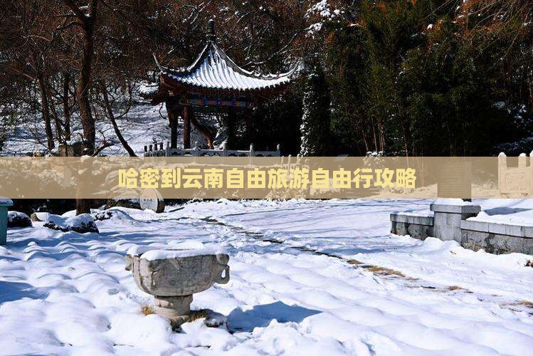 哈密到云南自由行