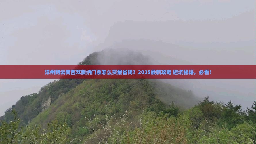 漳州到云南西双版纳门票