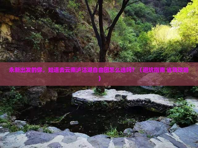 永新去云南泸沽湖自由团