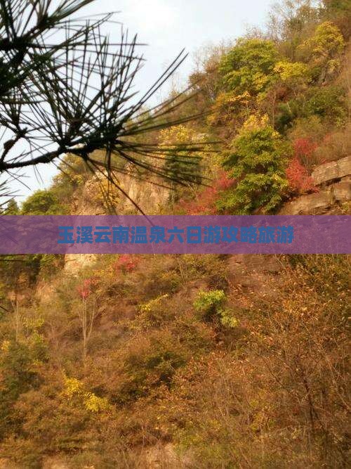 玉溪到云南温泉六日游