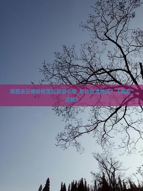 湘西去云南香格里拉旅游小吃