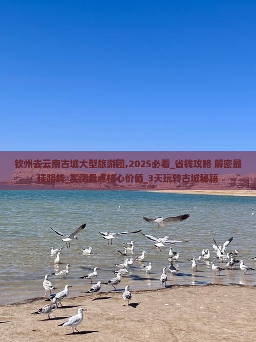 钦州去云南古城大型旅游团