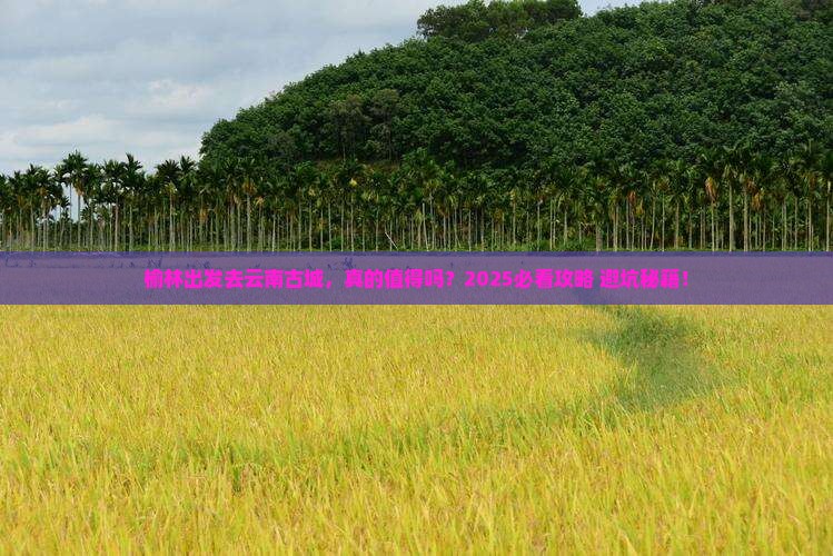 榆林去云南古城旅游