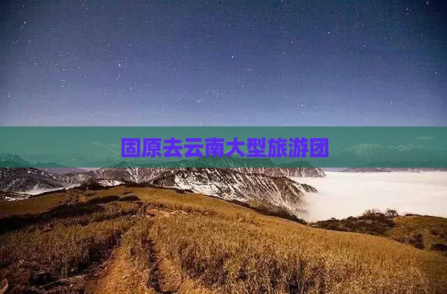 固原去云南大型旅游团