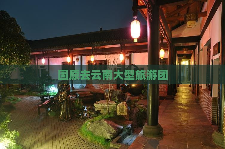 固原去云南大型旅游团