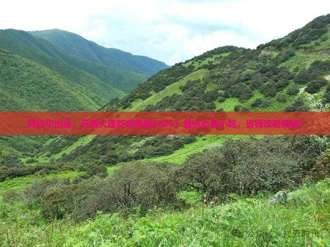 阿拉尔到云南大理旅游小吃