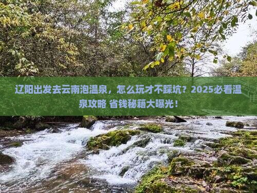 辽阳到云南温泉攻略
