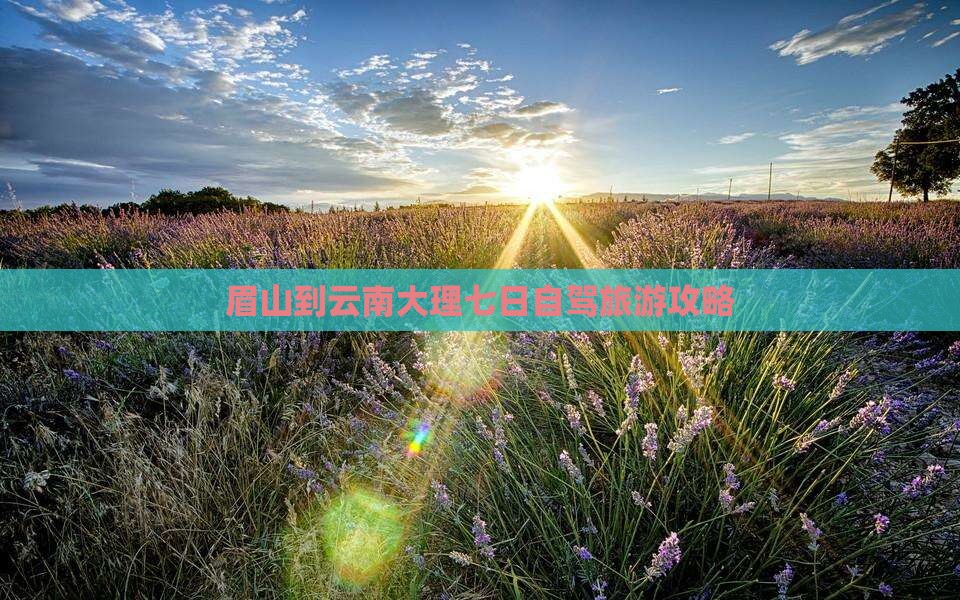 眉山到云南大理七日游